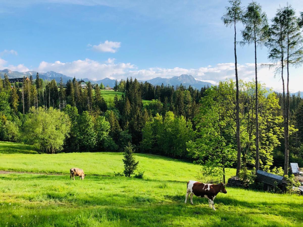 Apartamento Tatrzanska Polana 5F Zakopane Exterior foto